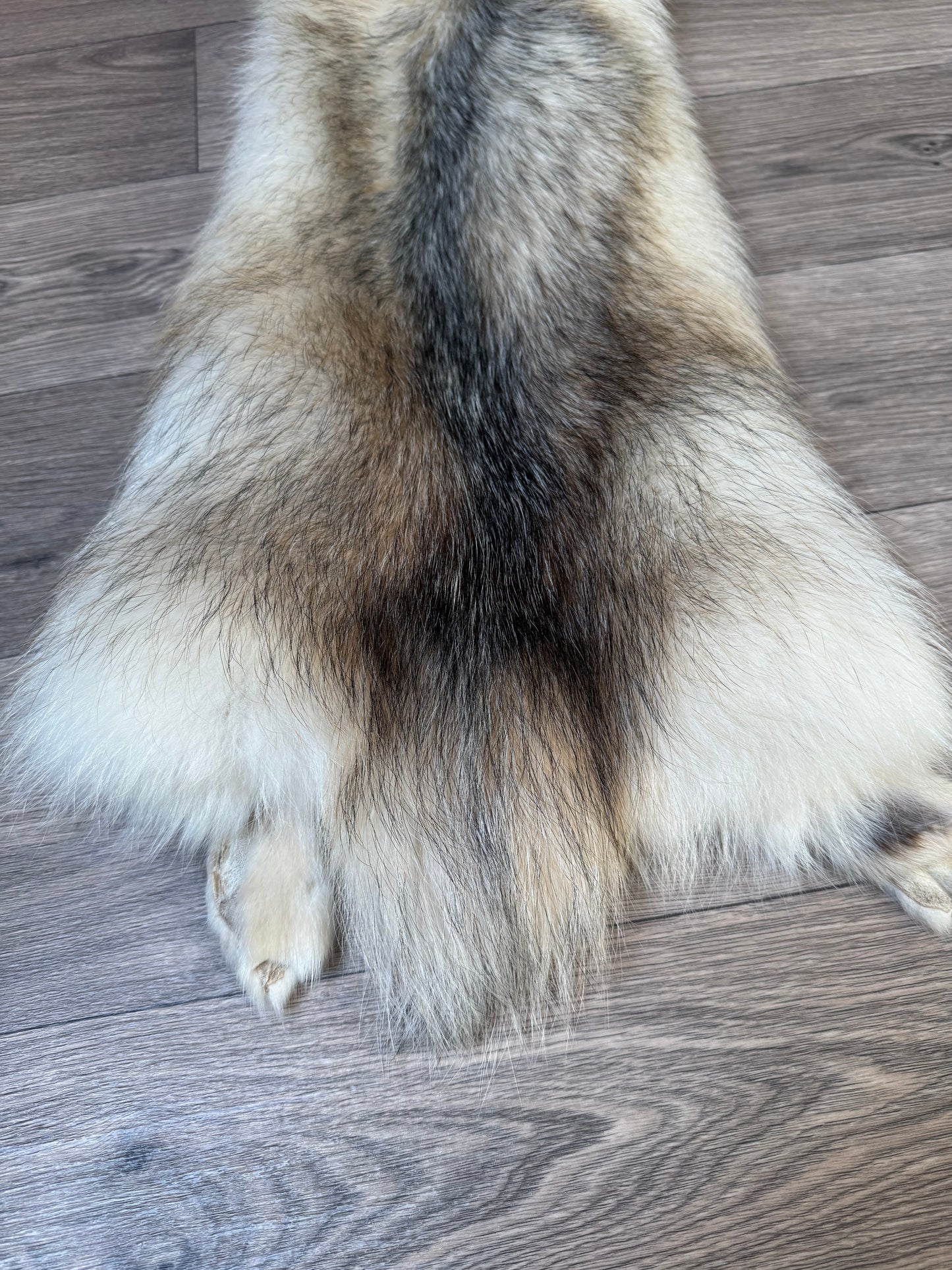 Marble tanuki pelt (1)