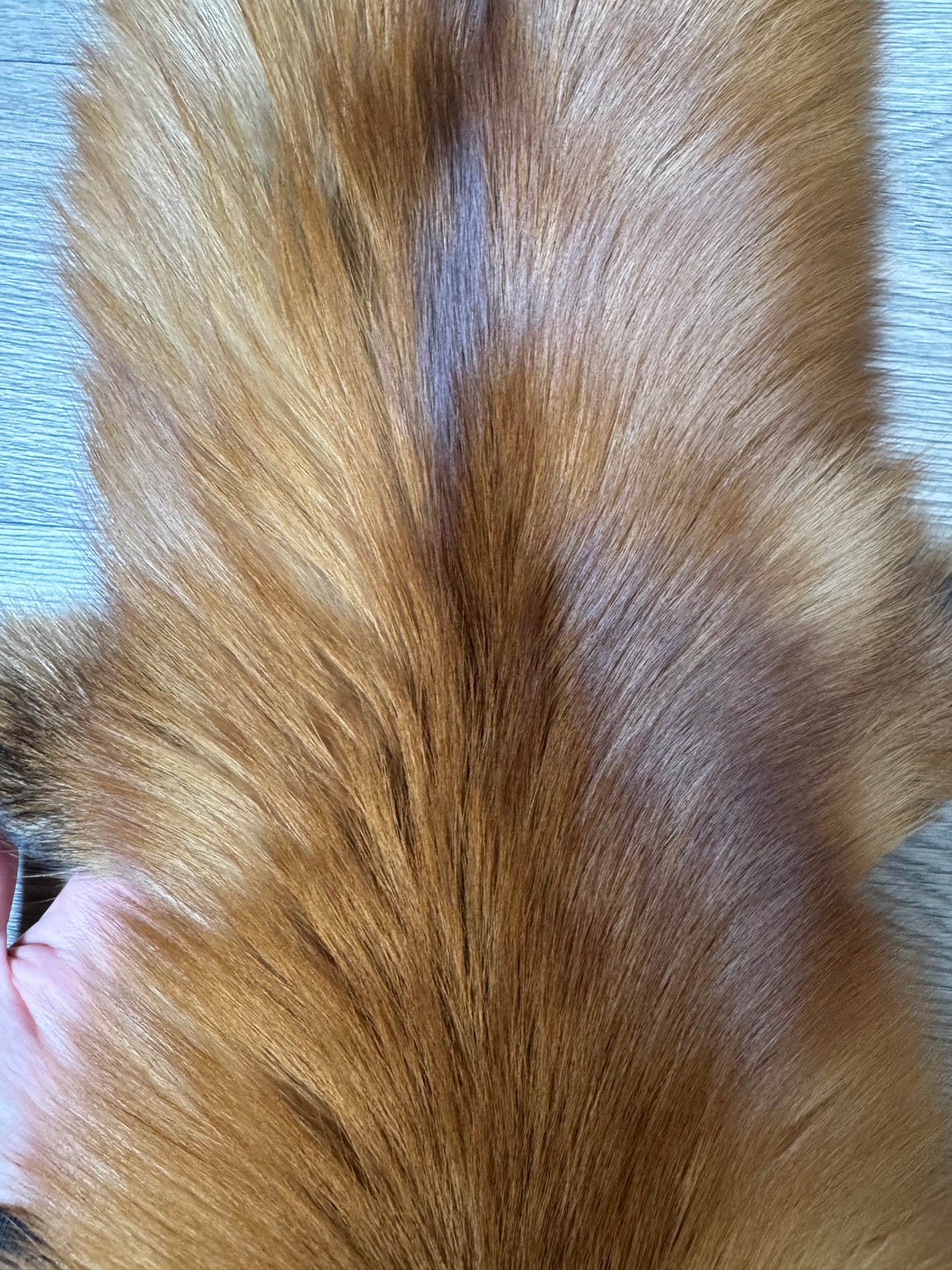 Gold fox pelt (9)