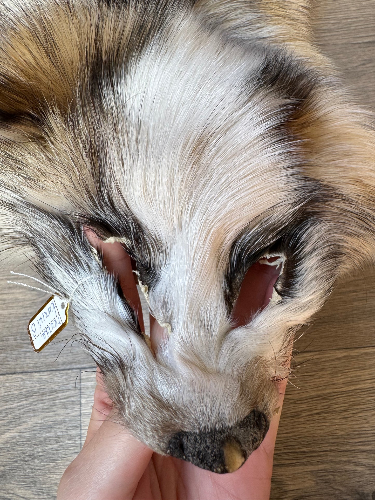 Marble tanuki pelt (13)