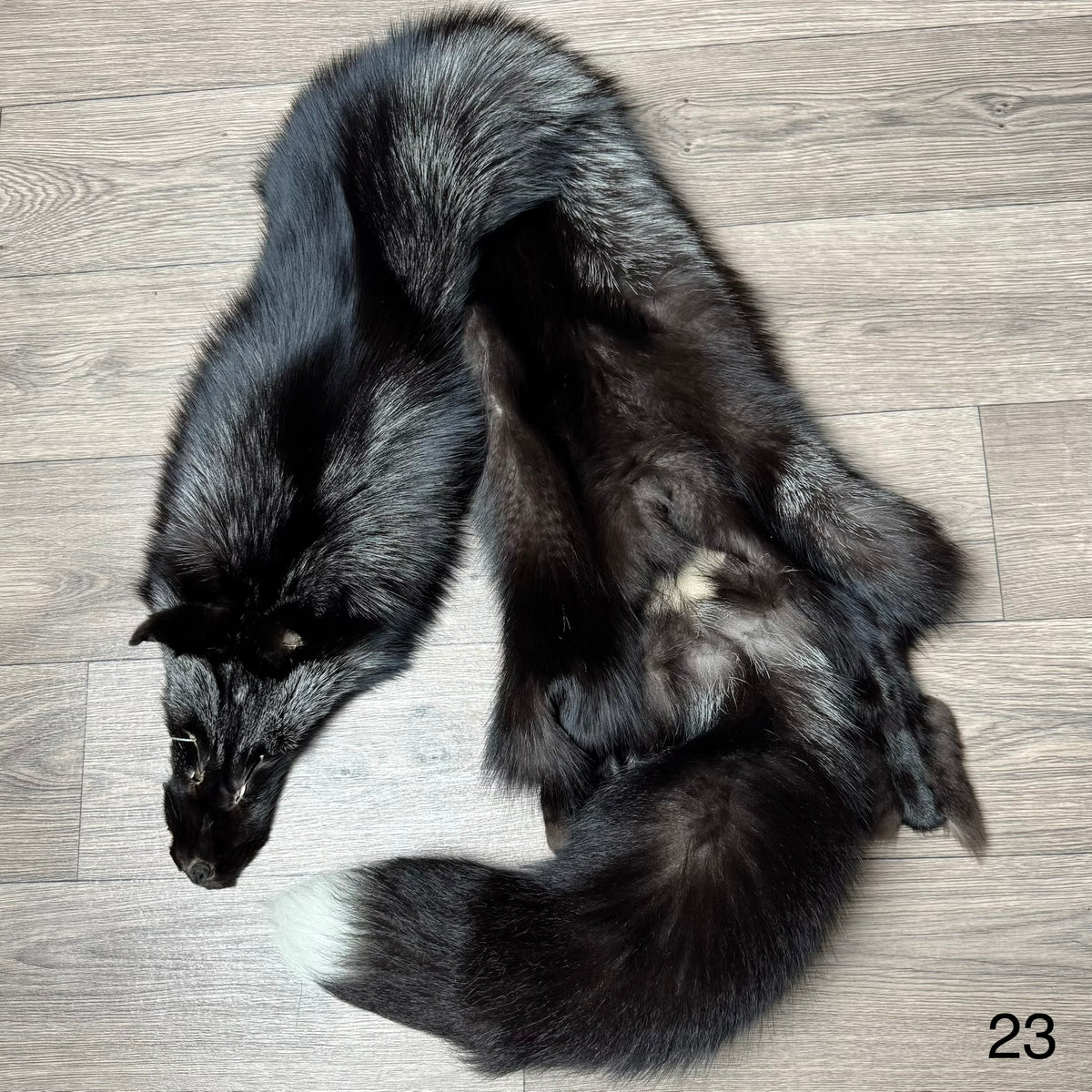Silver fox pelt (23)