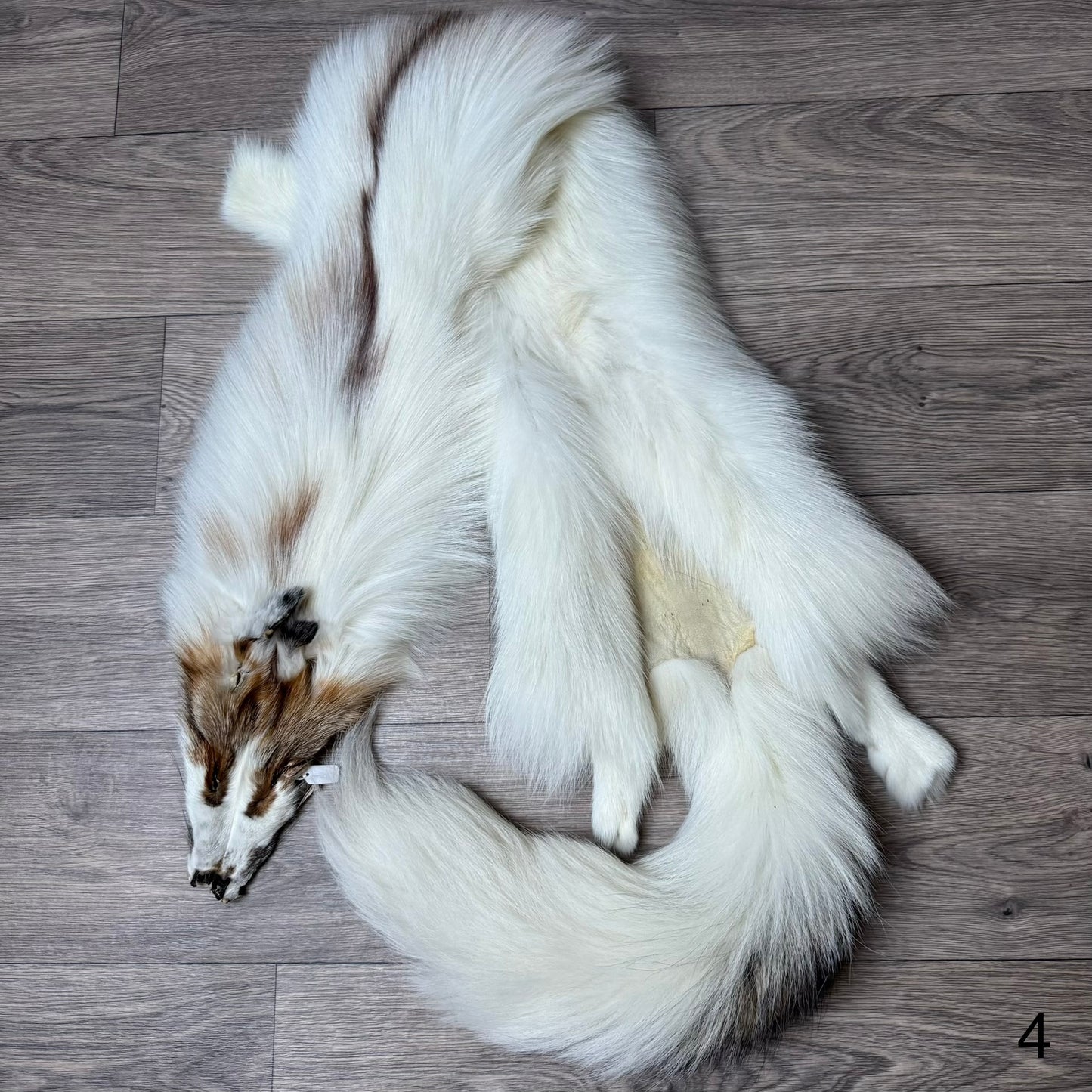 Sun Glow fox pelt (4)
