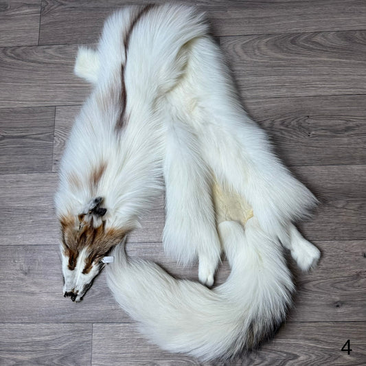 Sun Glow fox pelt (4)