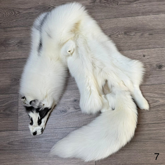 Marble Frost fox pelt (7)