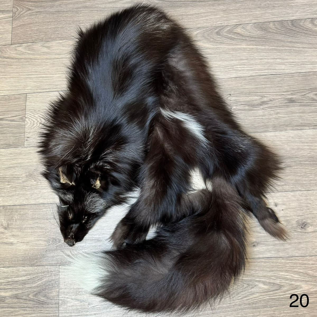 Silver fox pelt (20)