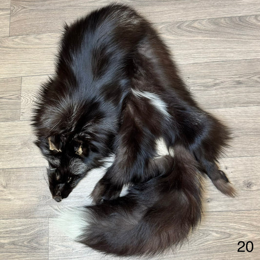 Silver fox pelt (20)
