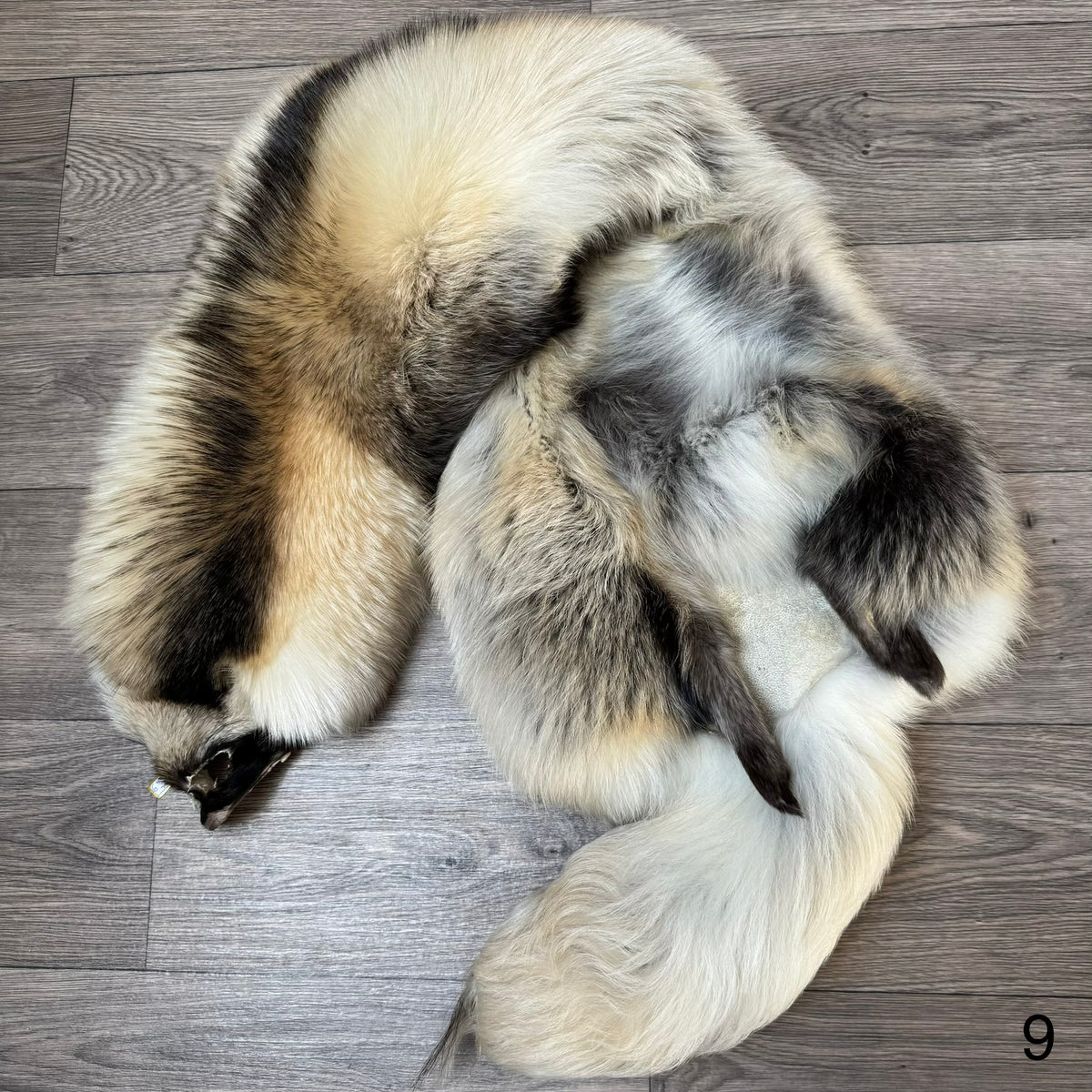 Arctic tanuki pelt (9)