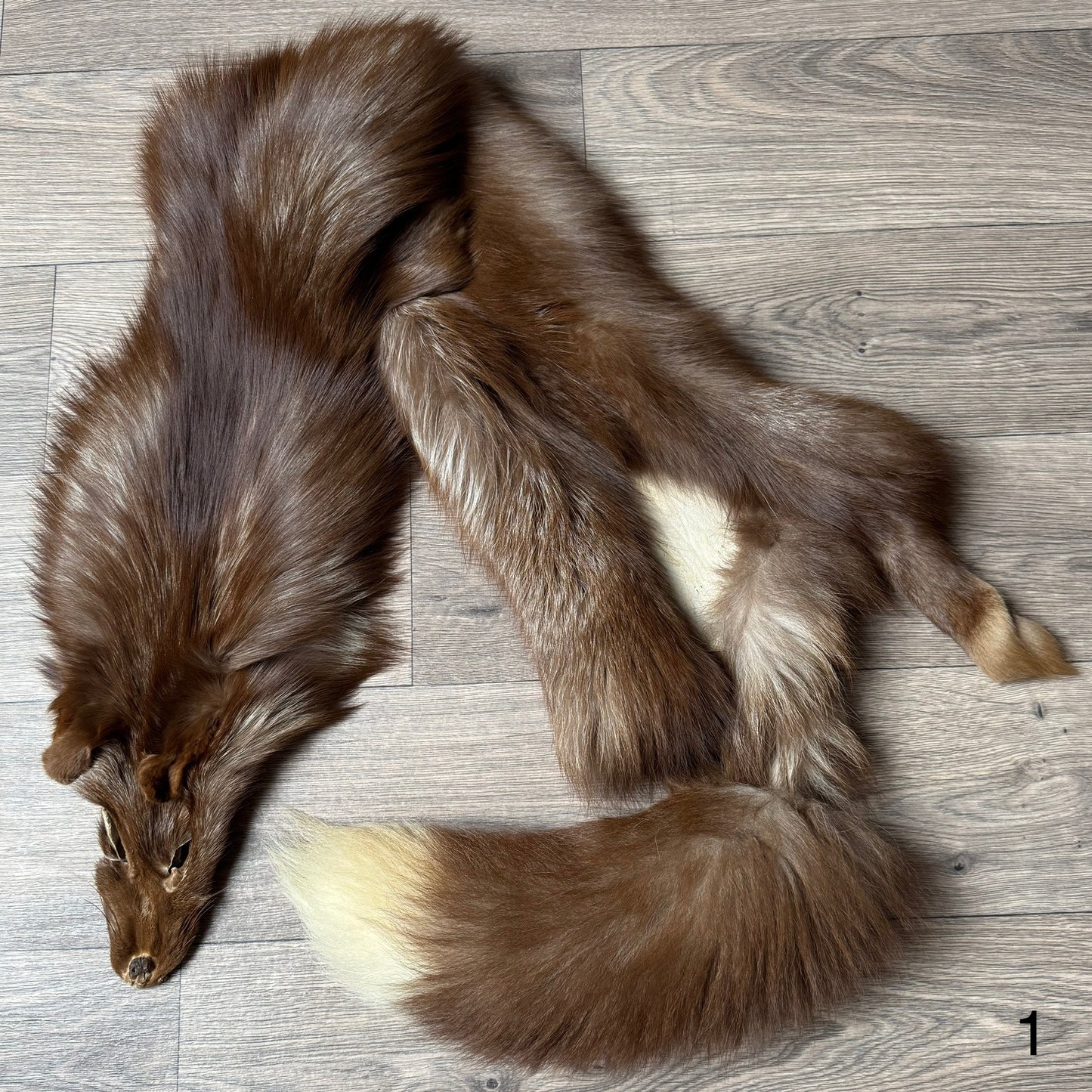 Burgundy fox pelt (1)