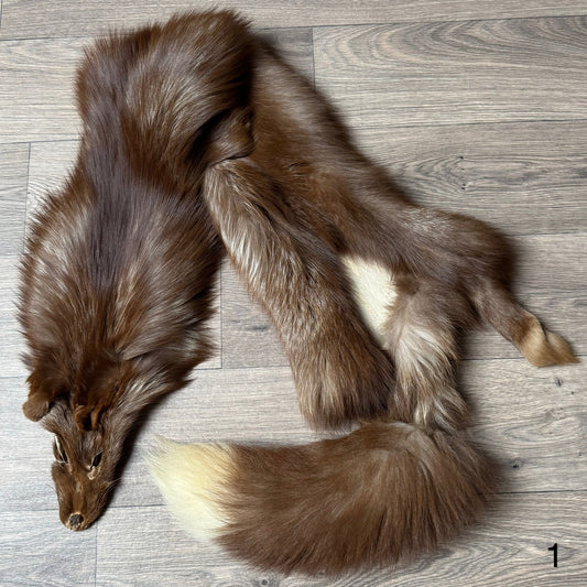 Burgundy fox pelt (1)