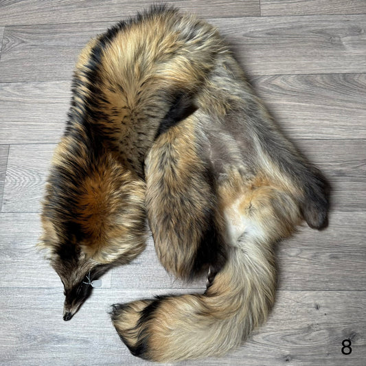 Tanuki pelt (8)