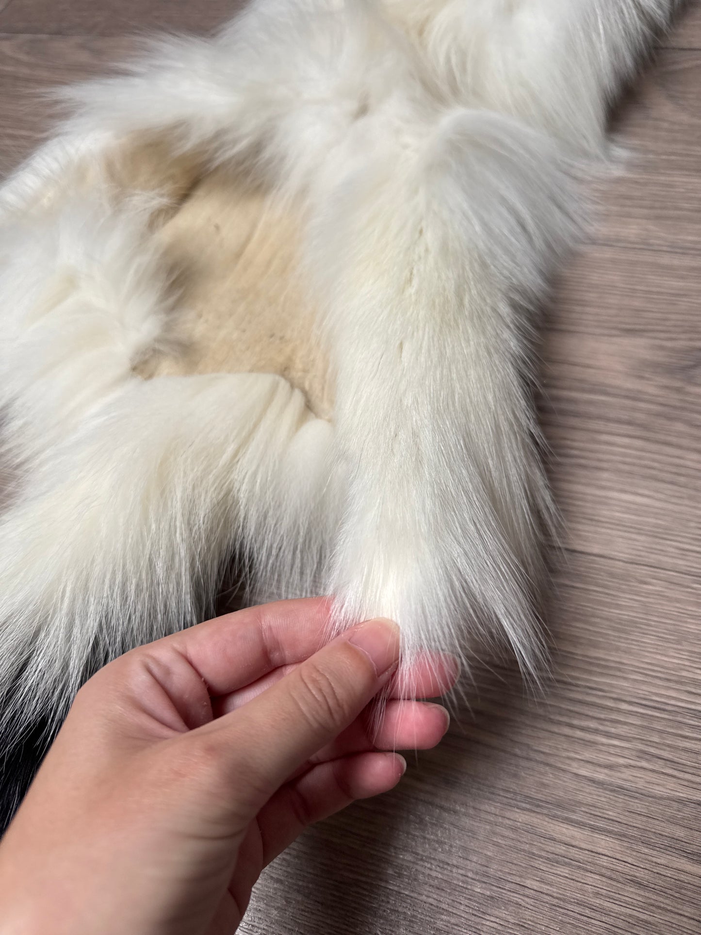 Cross Marble fox pelt (6)