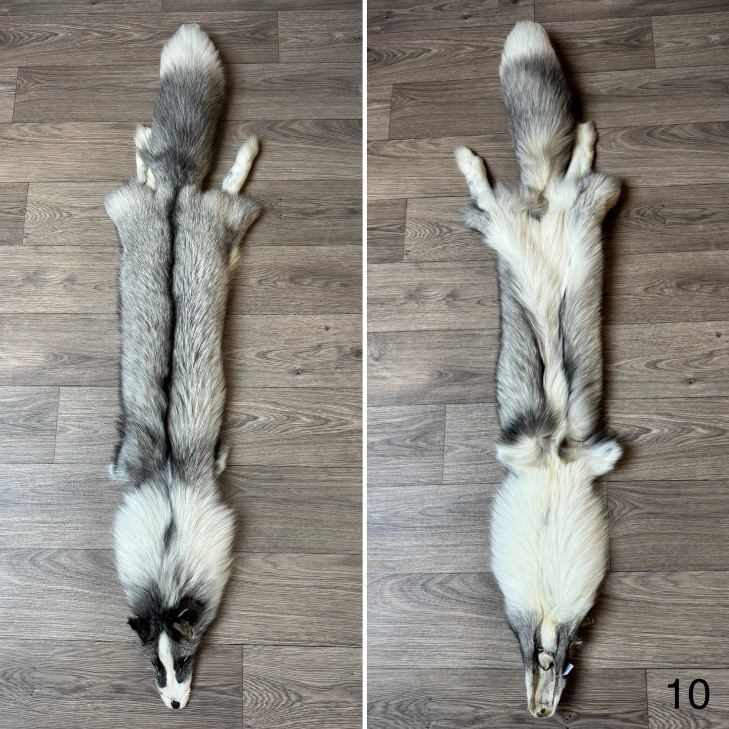 Platinum fox pelt (10)
