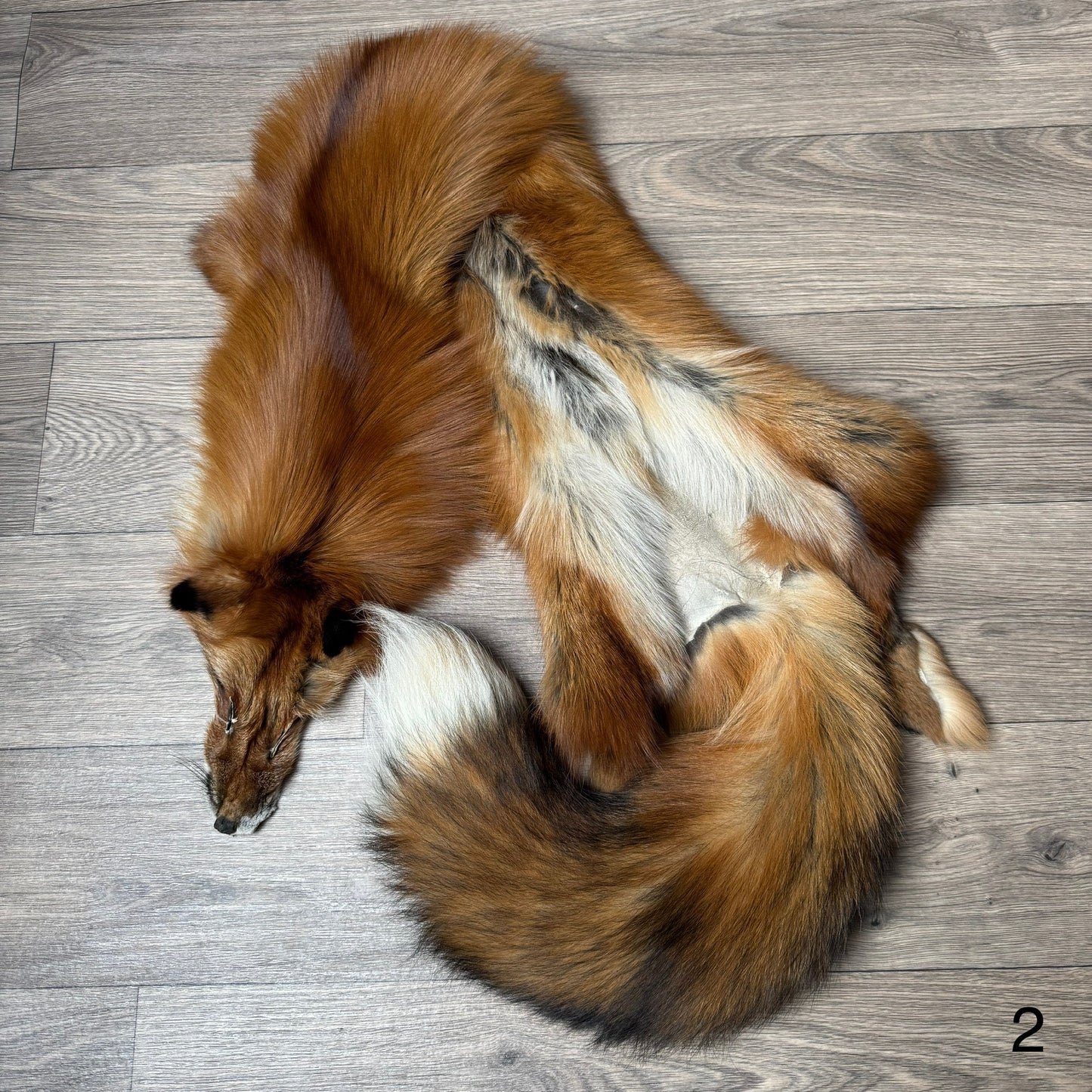 Gold fox pelt (2)