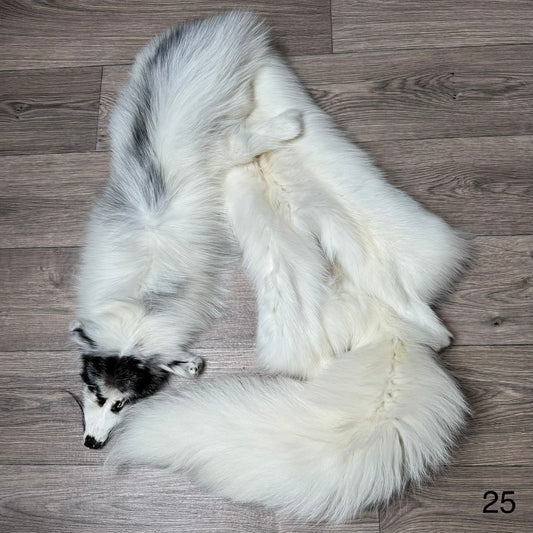 Arctic Marble fox pelt (25)