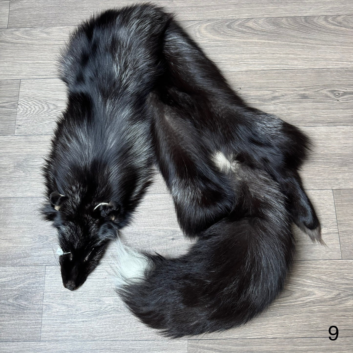 Silver fox pelt (9)