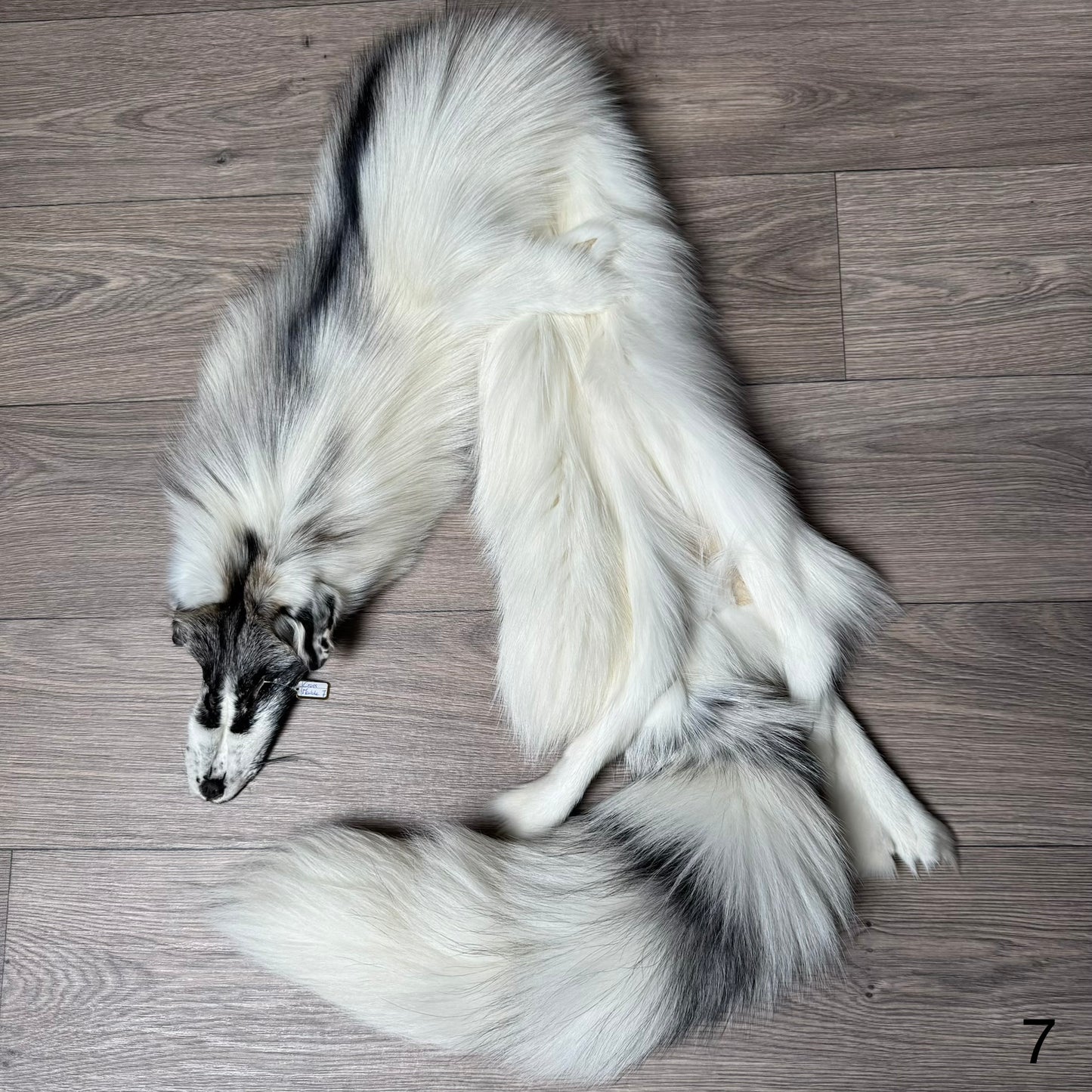 Cross Marble fox pelt (7)