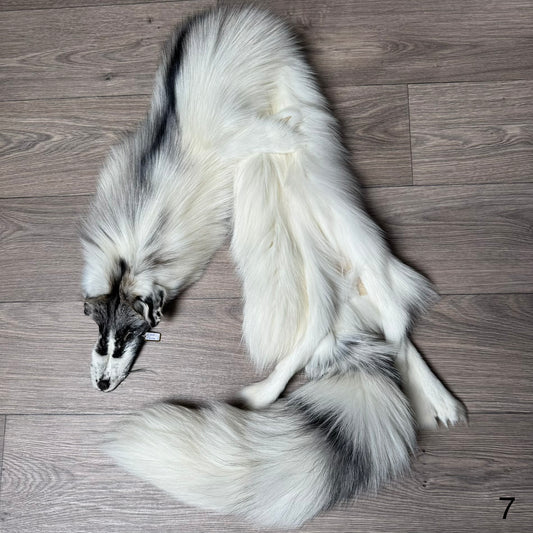 Cross Marble fox pelt (7)