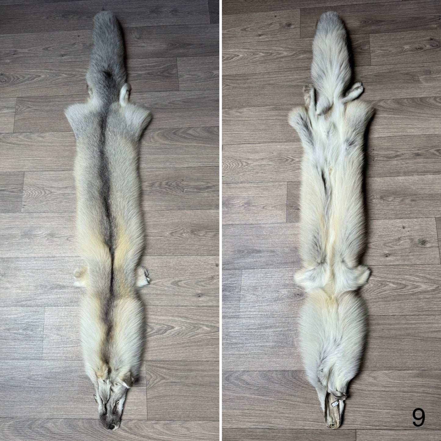 Fawn Light fox pelt (9)