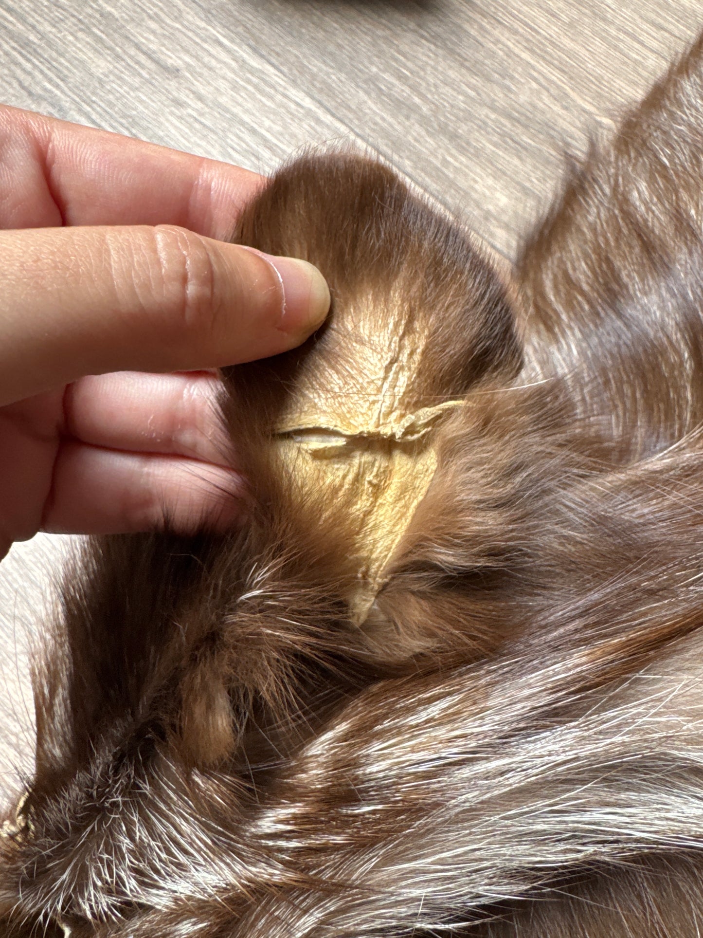 Burgundy fox pelt (9)