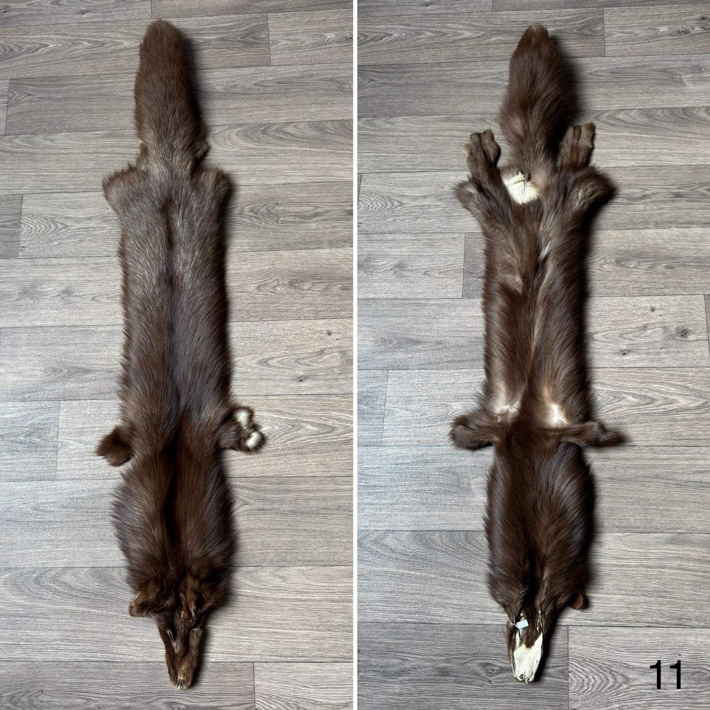 Burgundy fox pelt (11)