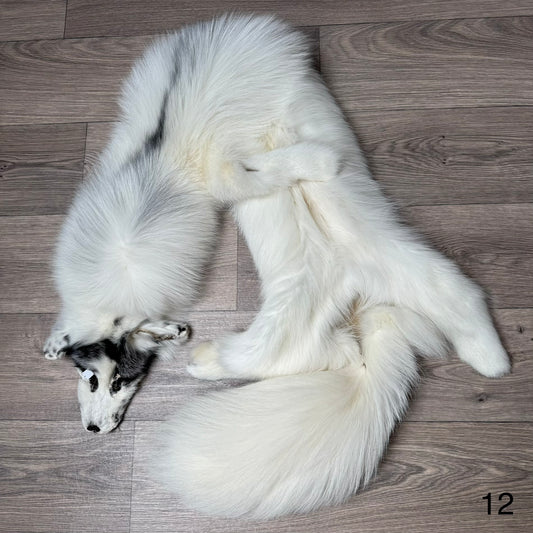 Arctic Marble fox pelt (12)