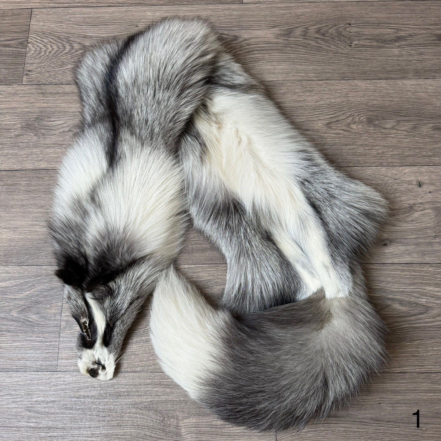 Platinum fox pelt (1)