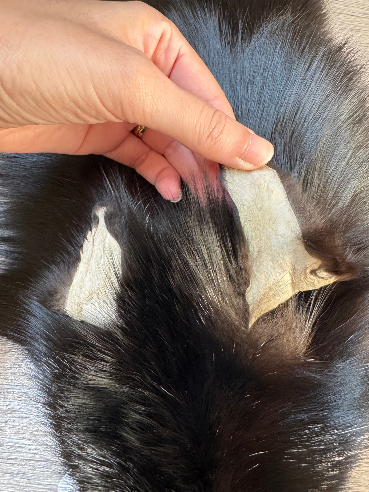 Silver fox pelt (21)