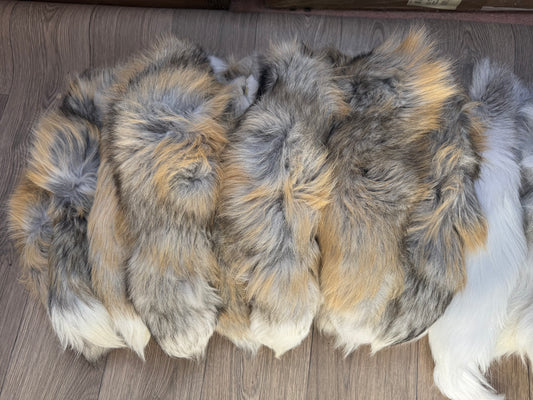 B grade tail (1 tail)