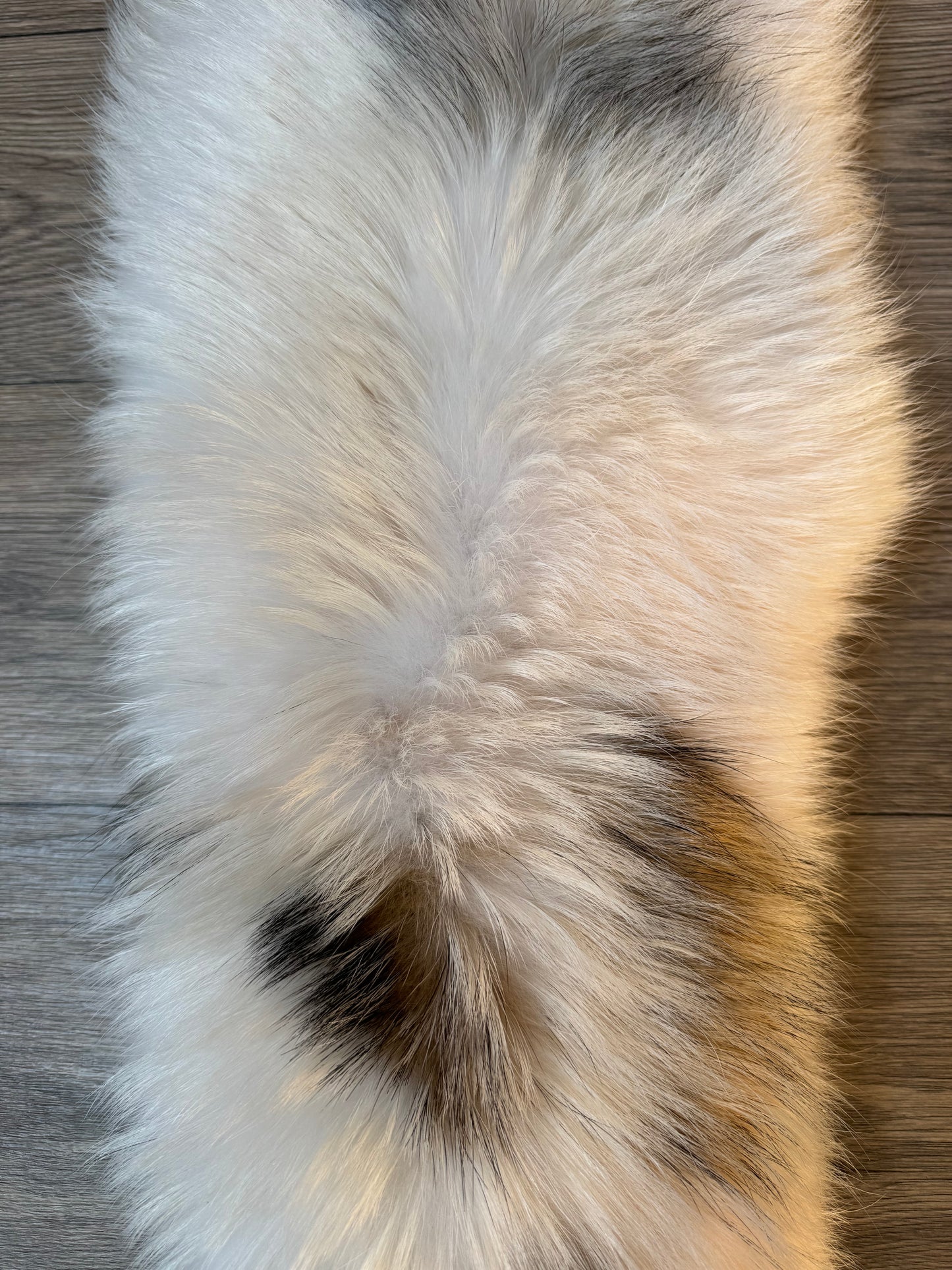 Marble tanuki pelt (17)
