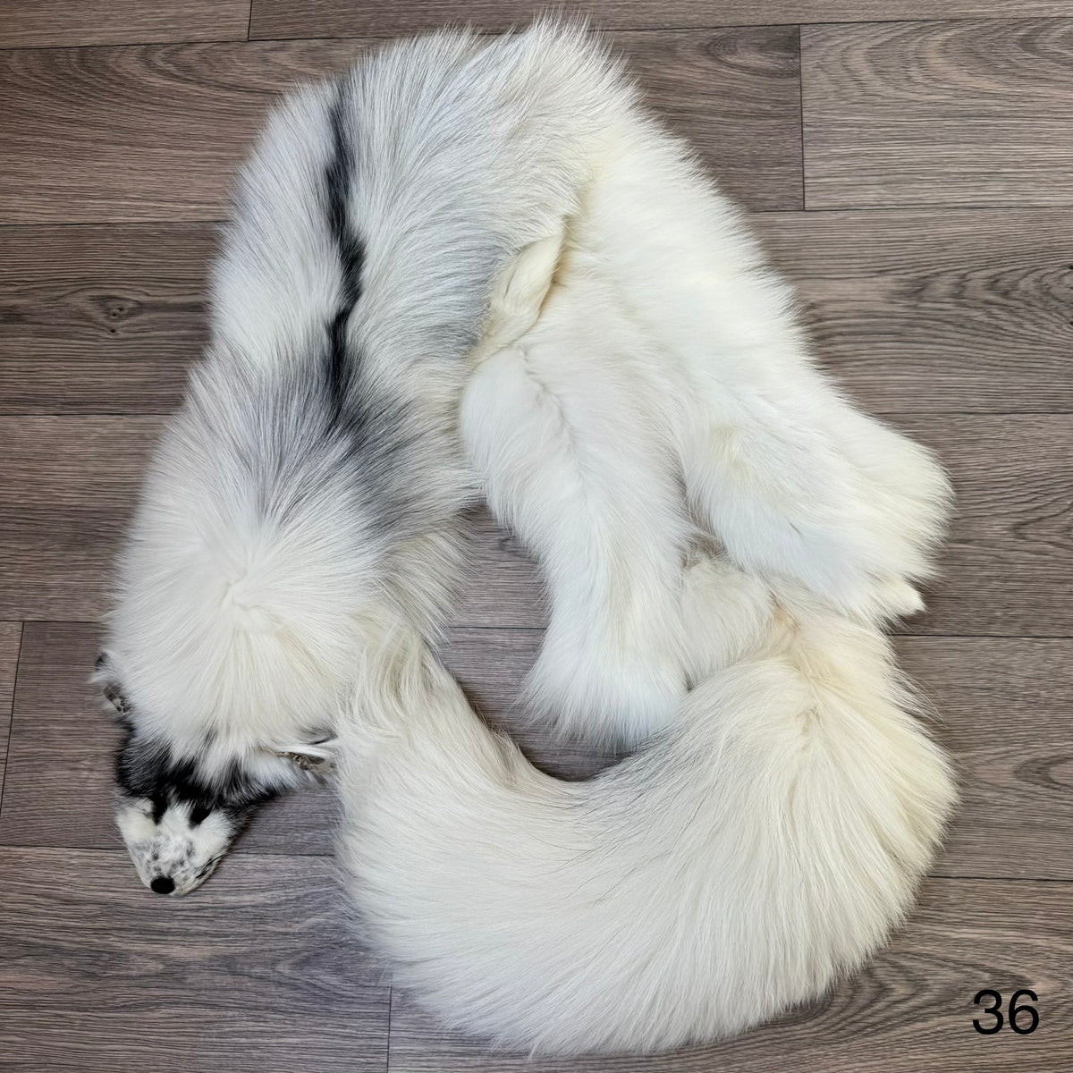 Arctic Marble fox pelt (36)