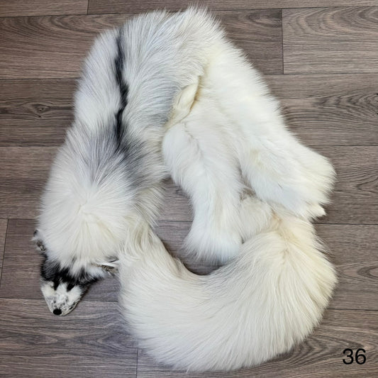 Arctic Marble fox pelt (36)