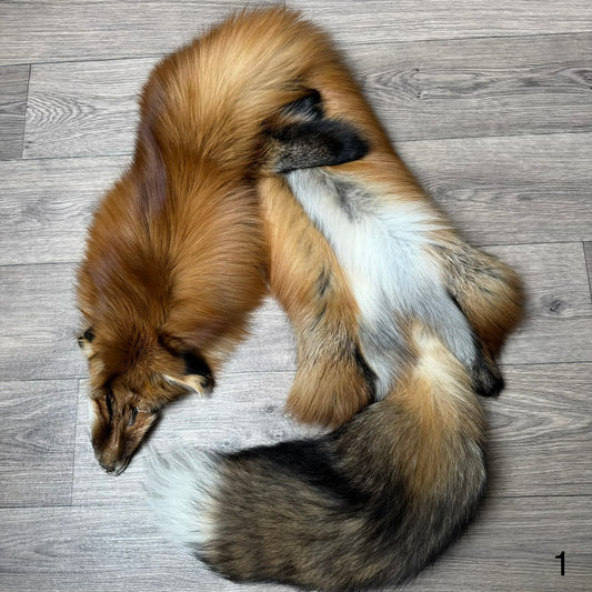 Gold fox pelt (1)