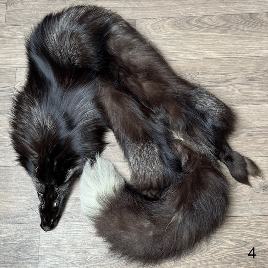 Silver fox pelt (4)