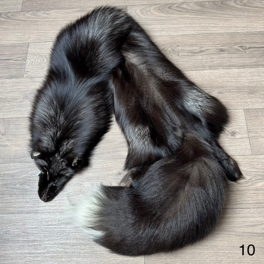 Silver fox pelt (10)