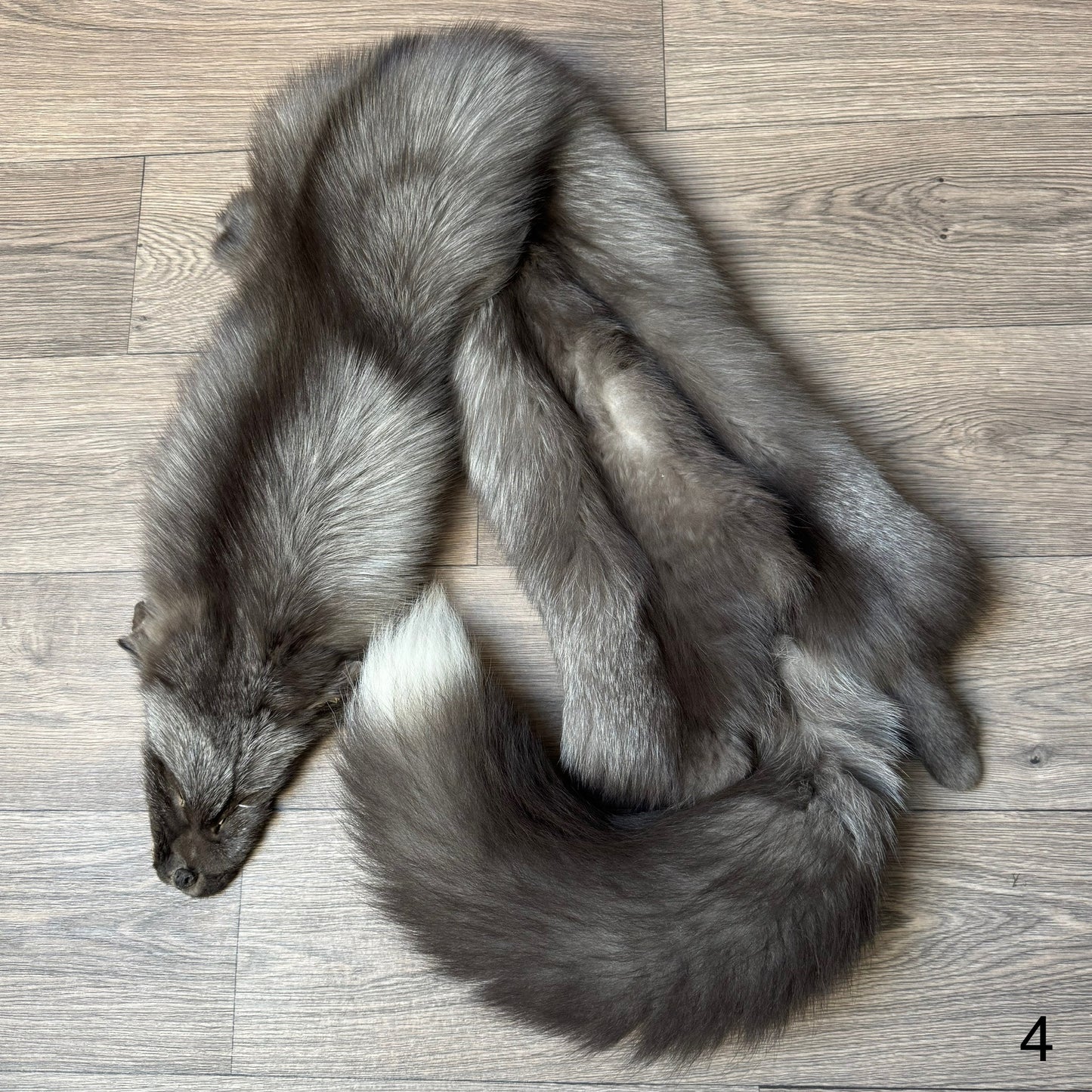 Pearl fox pelt (4)