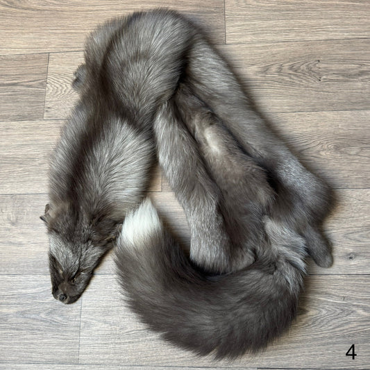 Pearl fox pelt (4)
