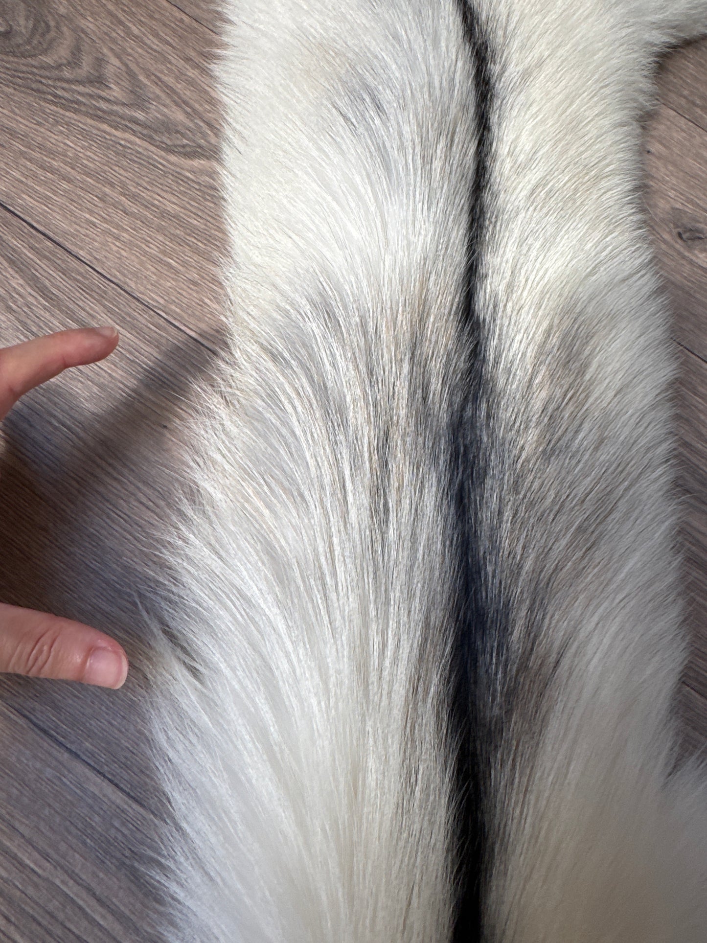 Cross Marble fox pelt (21)