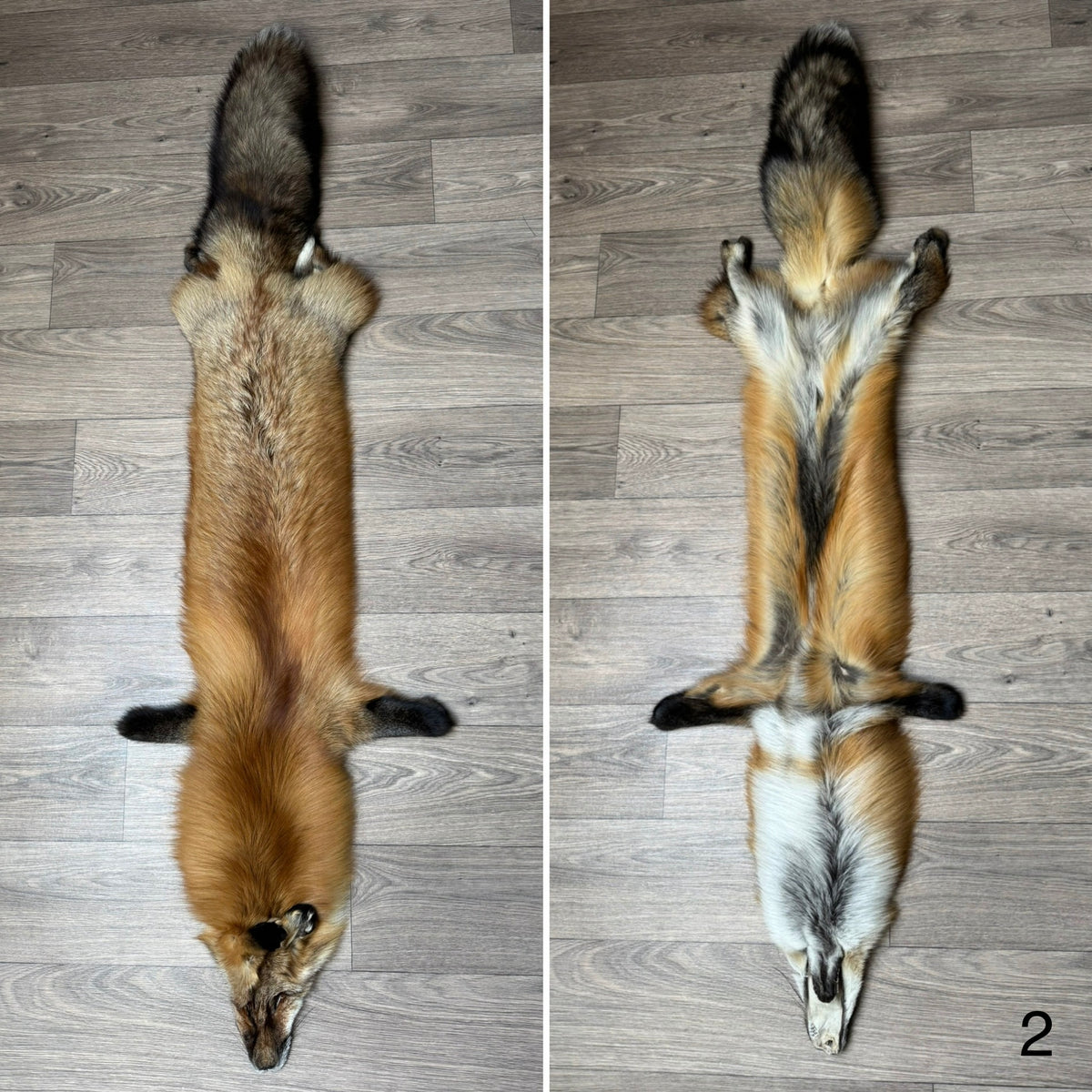 Gold fox pelt (2)