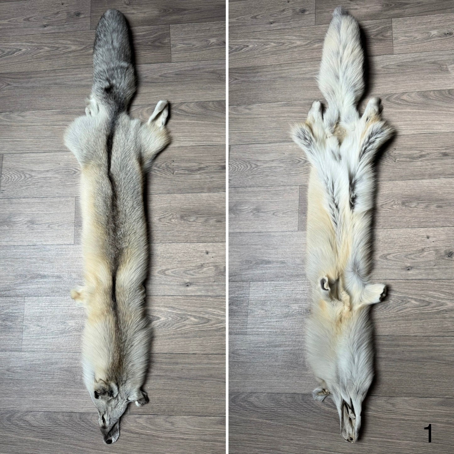 Fawn Light fox pelt (1)
