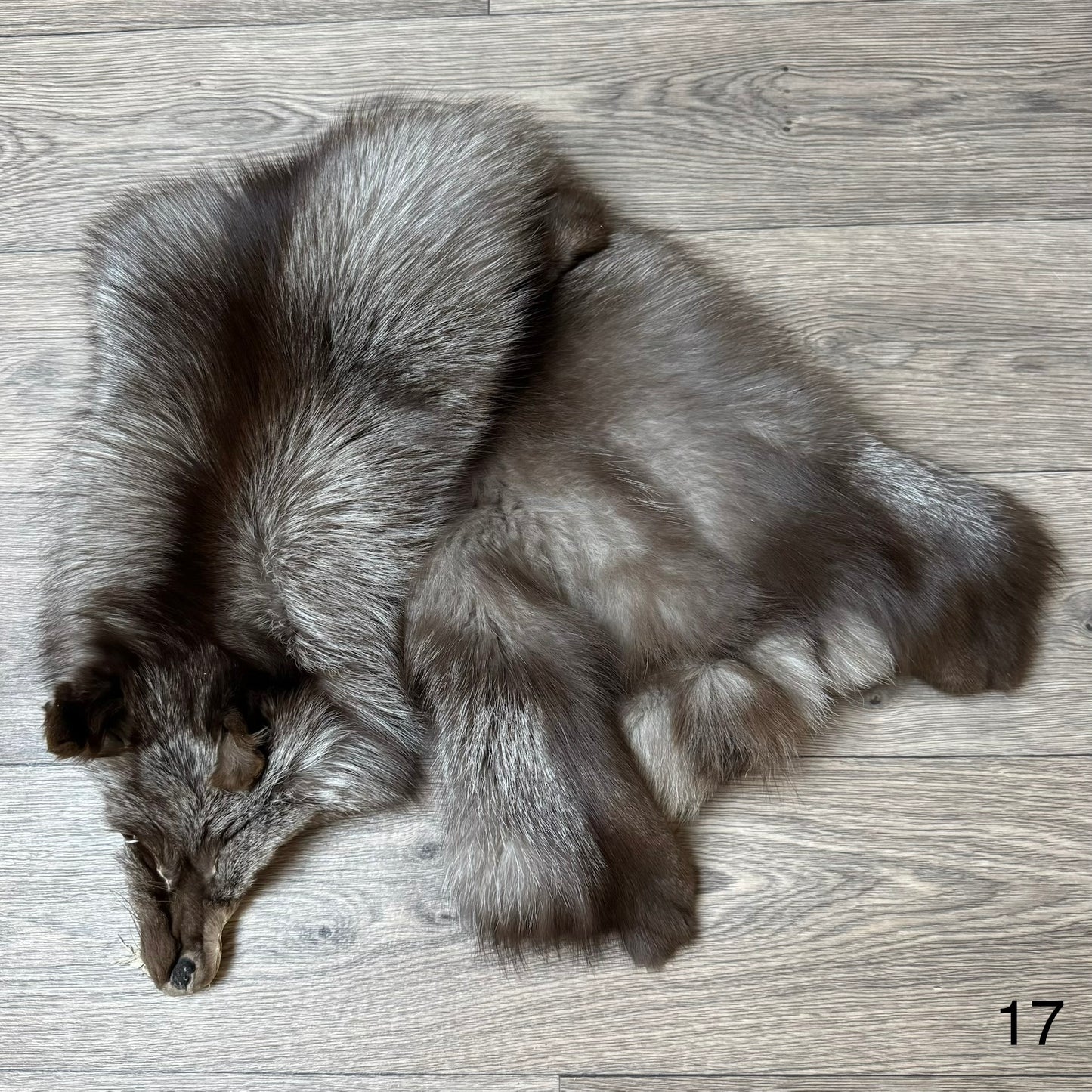 Polish Pastel fox pelt (17)