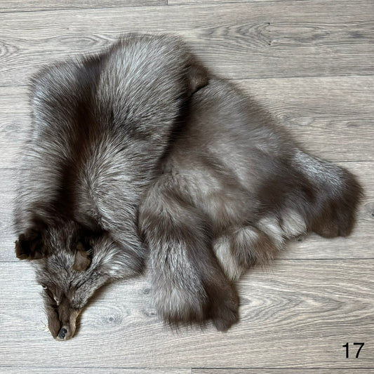 Polish Pastel fox pelt (17)