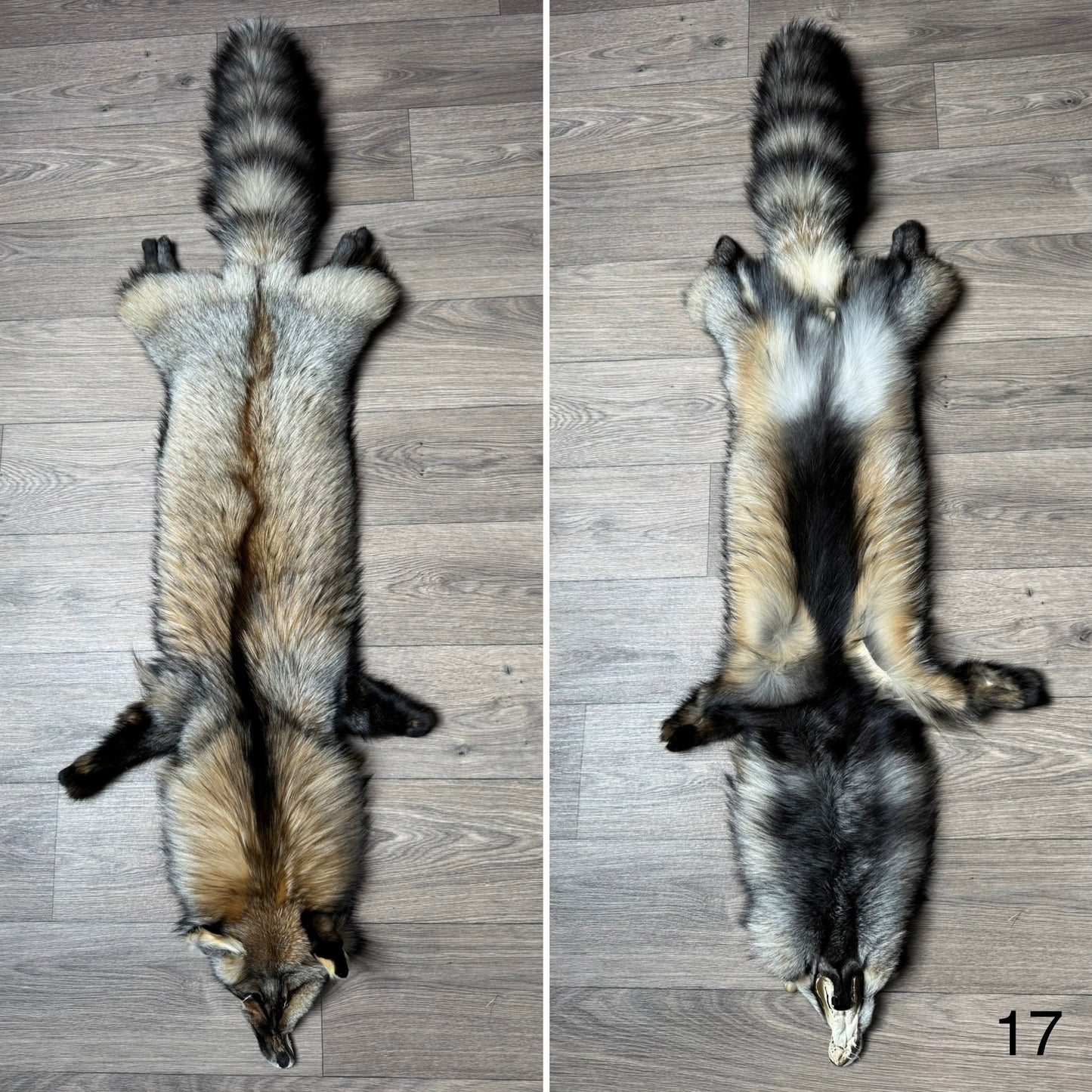 Smokey fox pelt (17)