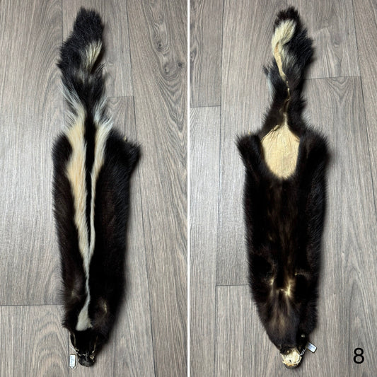 Skunk pelt (8)