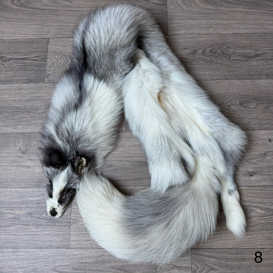 Platinum fox pelt (8)
