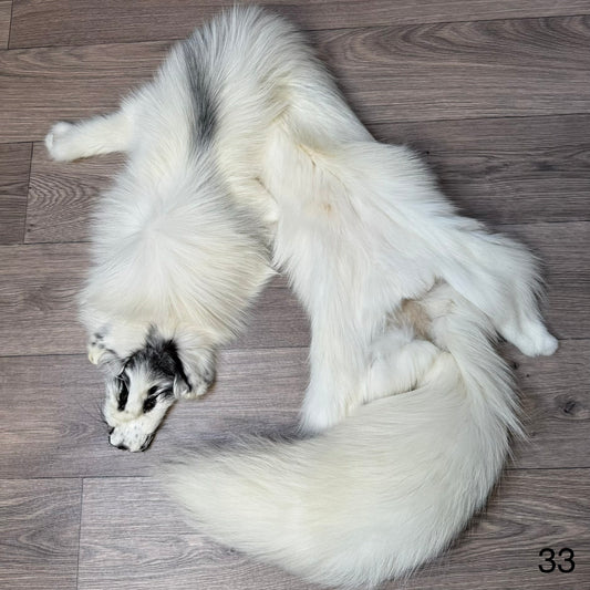 Arctic Marble fox pelt (33)