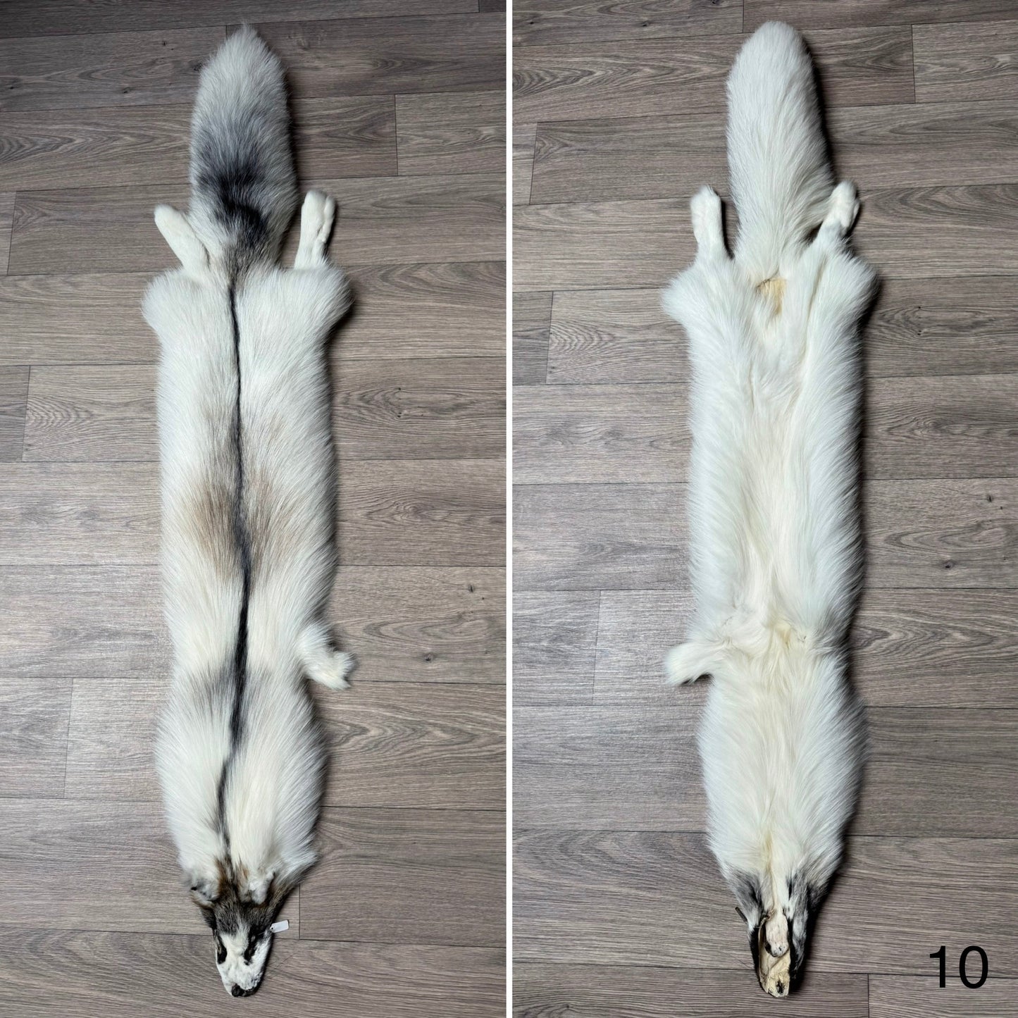 Cross Marble fox pelt (10)