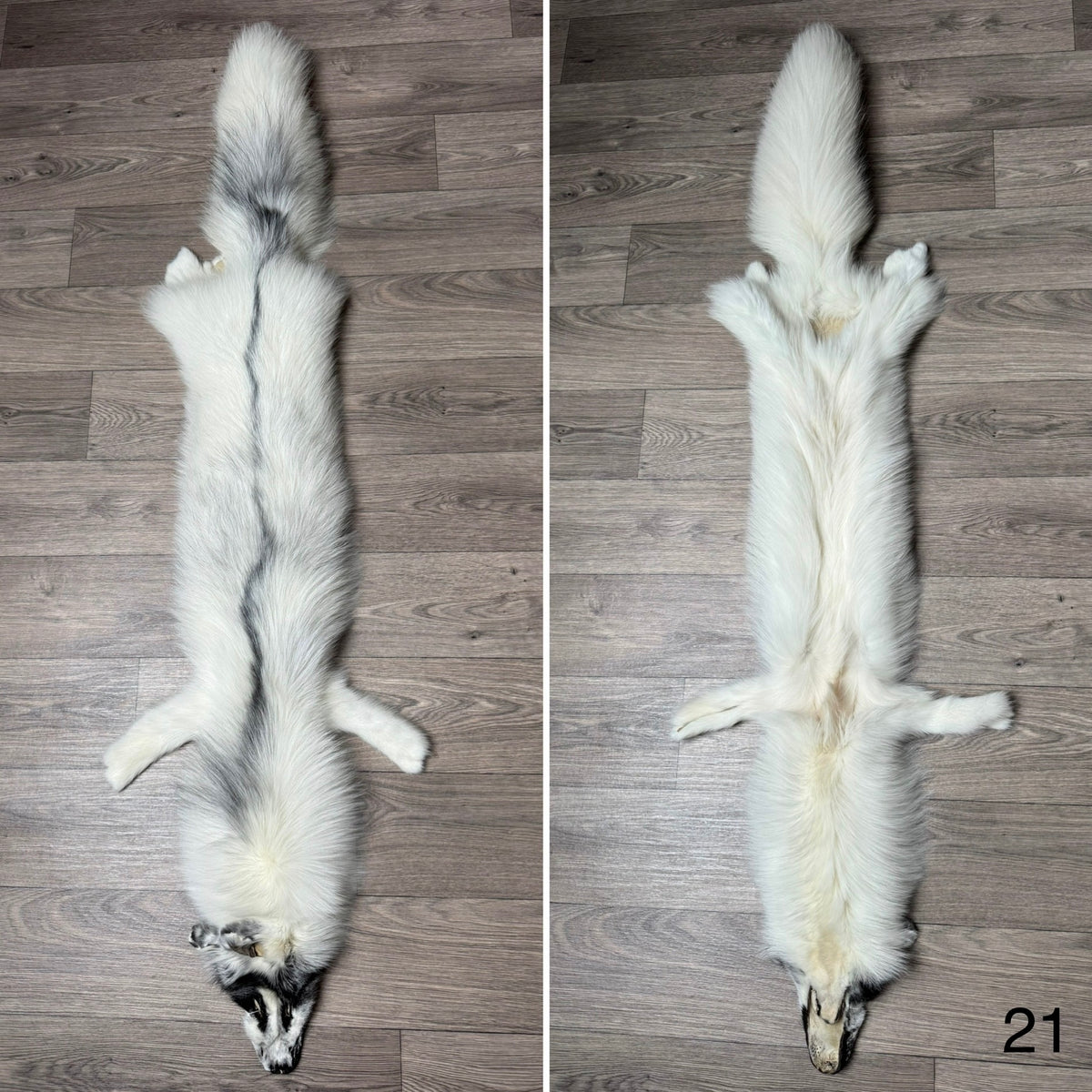 Arctic Marble fox pelt (21)