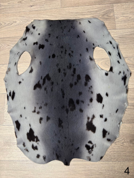 Harp seal skin (4)