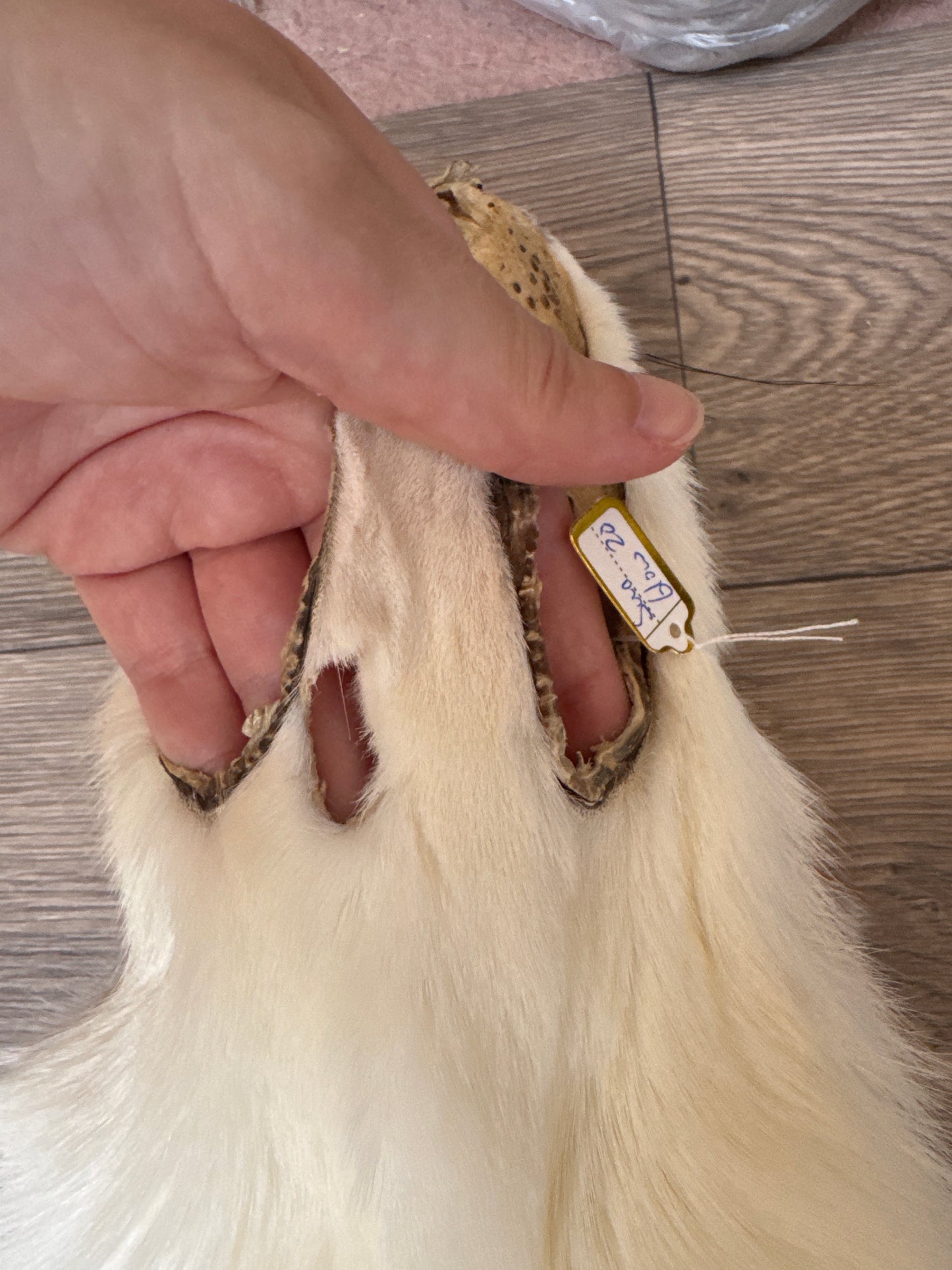 Sun Glow fox pelt (20)