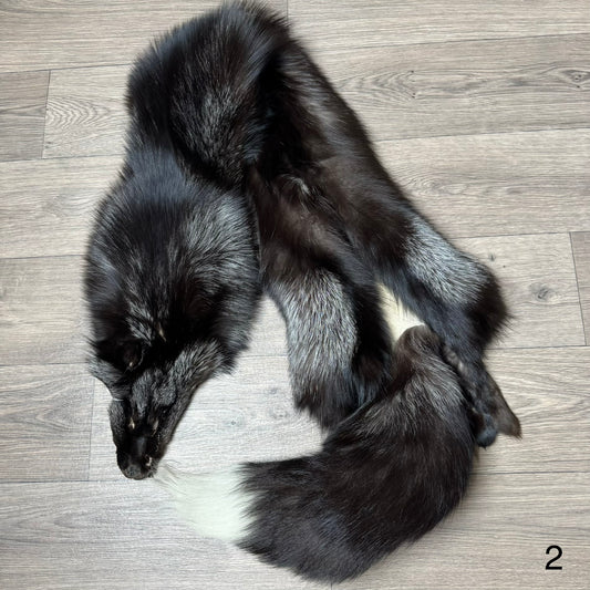 Silver fox pelt (2)