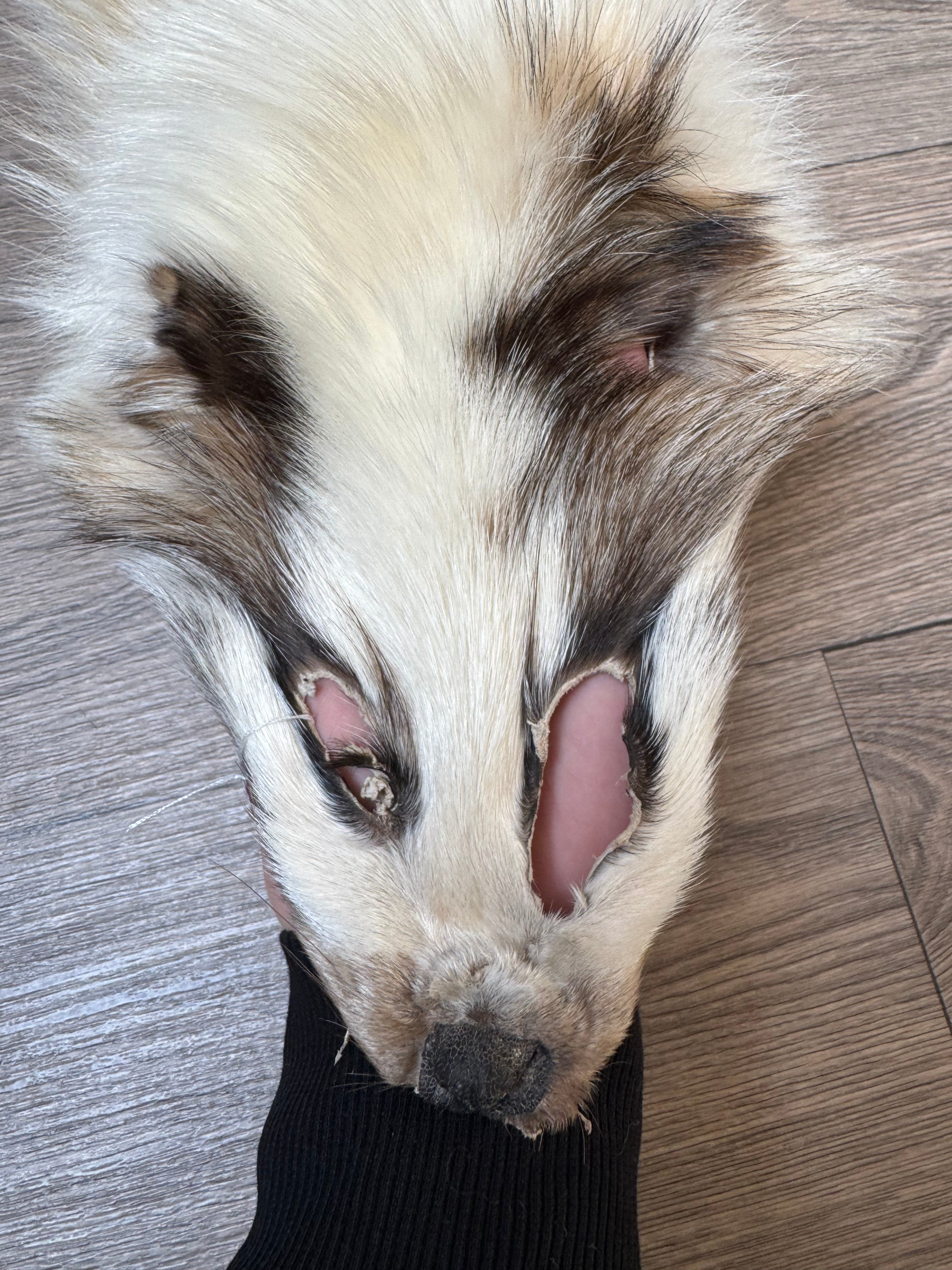 Marble tanuki pelt (8) – Orange Lion Creations Marble tanuki pelt (8) – Orange Lion Creations